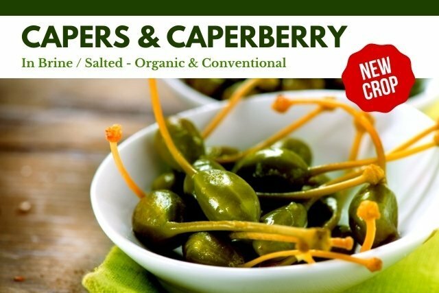 Capers Caperberry Salted in Brine Supplier Producer Factory Osiedle Centroom Turkey