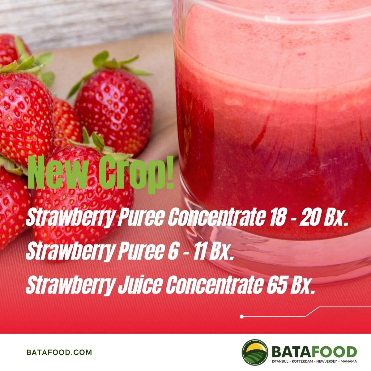 Strawberry Juice Concentrate, Strawberry Puree Concentrate supplier producer Bata Food Turkey Netherlands USA