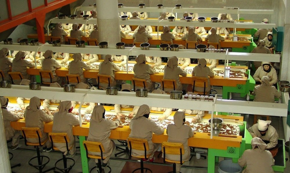 Hazelnut Processing Facility Osiedle Centroom Turkey Netherlands USA