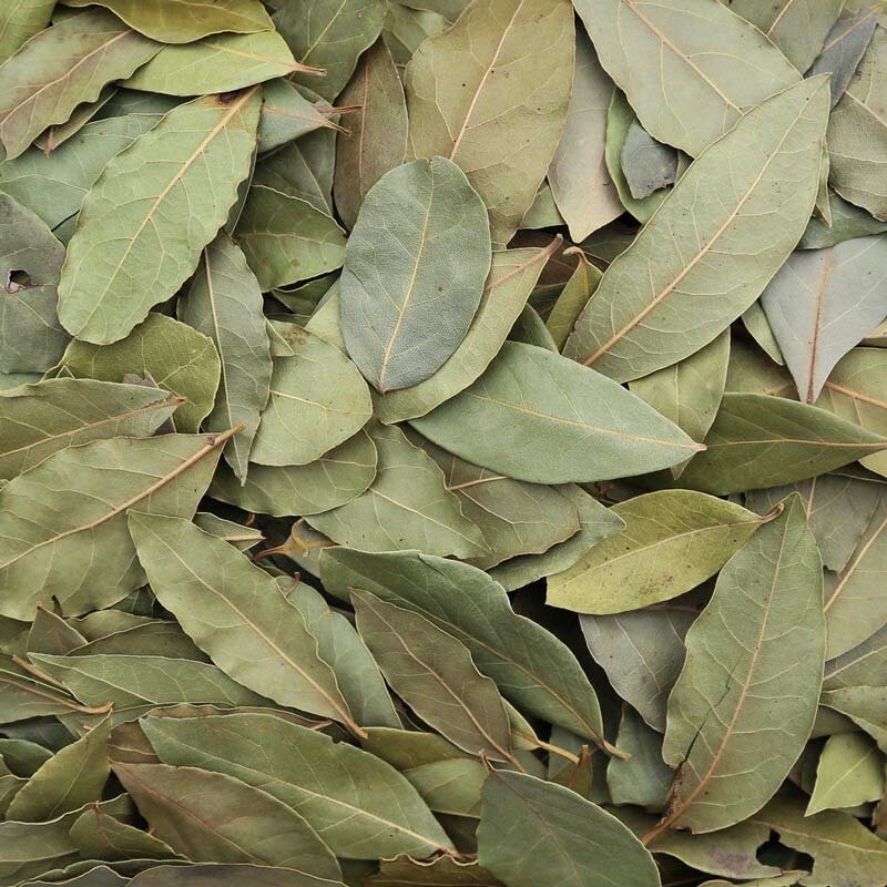 Organic & Conventional Laurel Bay Leaves Whole Powder Supplier Osiedle Centroom
