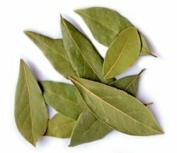 Organic & Conventional Laurel Bay Leaves Whole Powder Supplier Osiedle Centroom