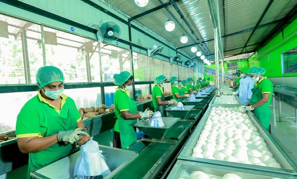 Organic Coconut Virgin Oil, Coconut Flour, Desiccated Coconut supplier market report Osiedle Centroom BV