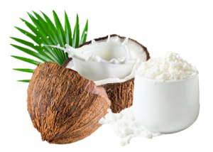 Organic Coconut Milk Powder Supplier Osiedle Centroom BV Netherlands