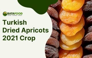 Turkish Dried Apricots 2021 Crop supplier Osiedle Centroom Turkey Netherlands Bahrain