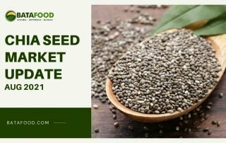August 2021 Chia Seed Market Update Supplier Osiedle Centroom Turkey Netherlands