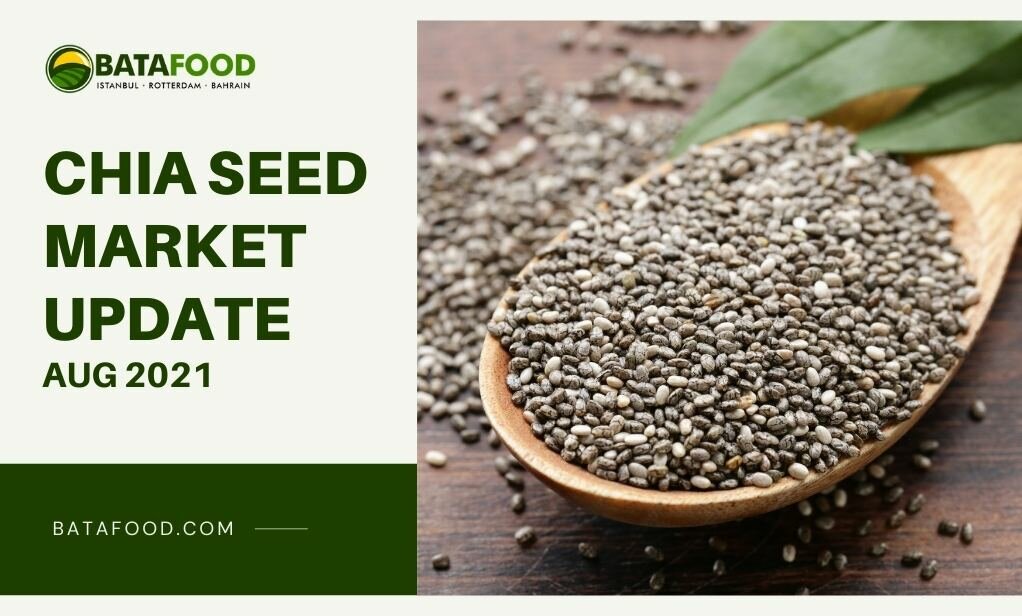 August 2021 Chia Seed Market Update Supplier Osiedle Centroom Turkey Netherlands