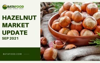 Hazelnuts Market Update Sep 2021 Supplier Exporter Osiedle Centroom