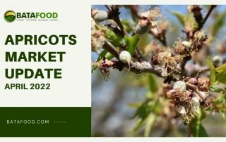 Dried Apricots Market Update April 2022 by supplier producer Osiedle Centroom Turkey Netherlands USA